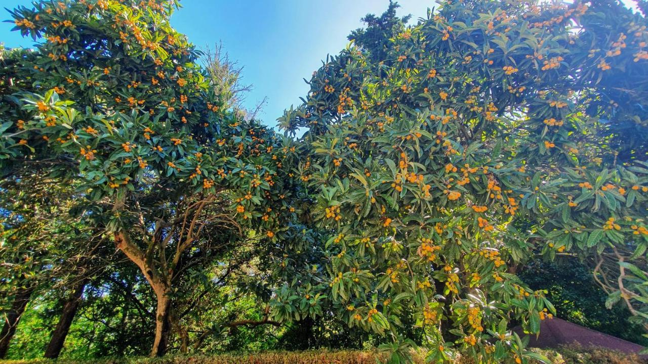 Villa Sargiano Arezzo Esterno foto